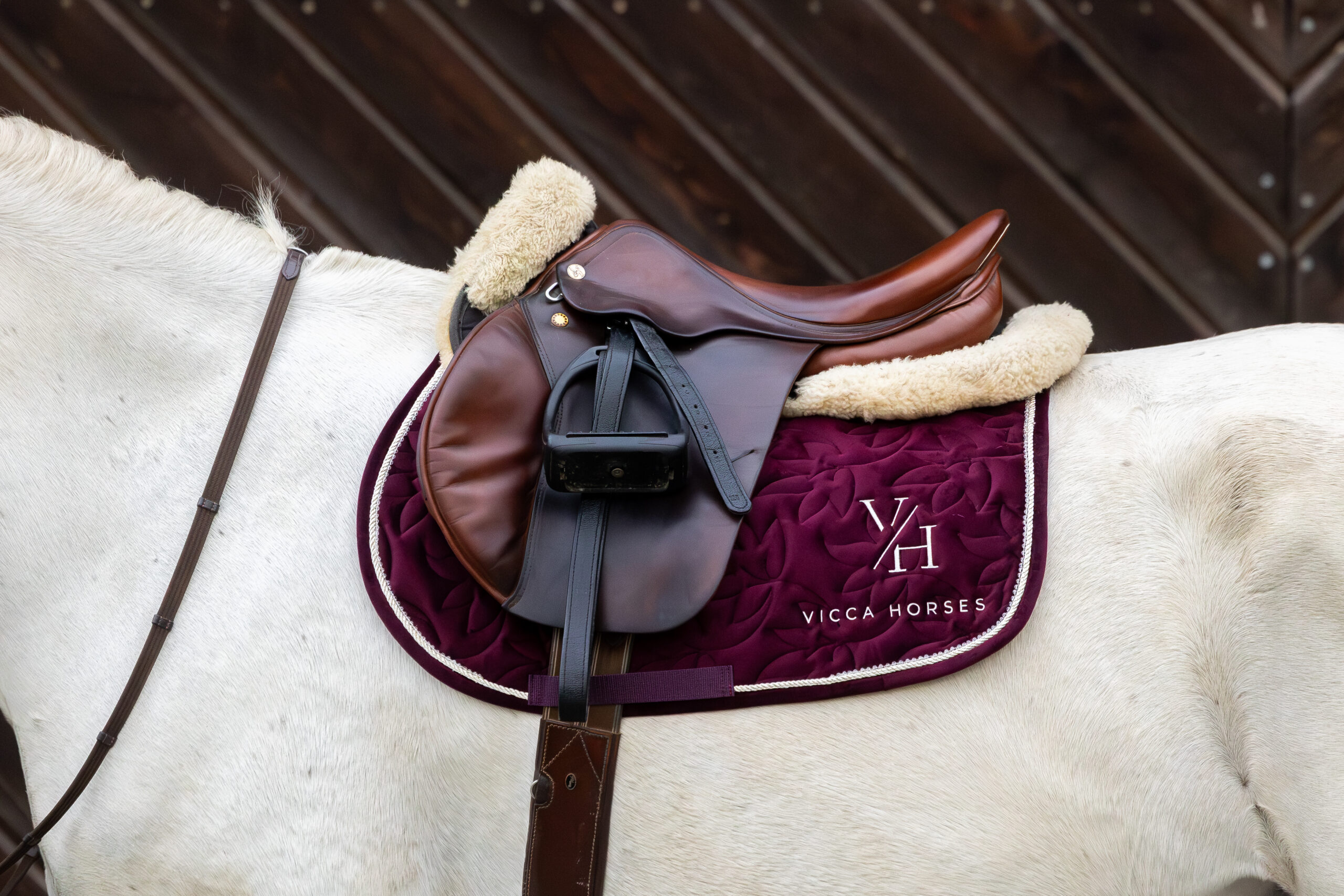 czaprak skokowy plum